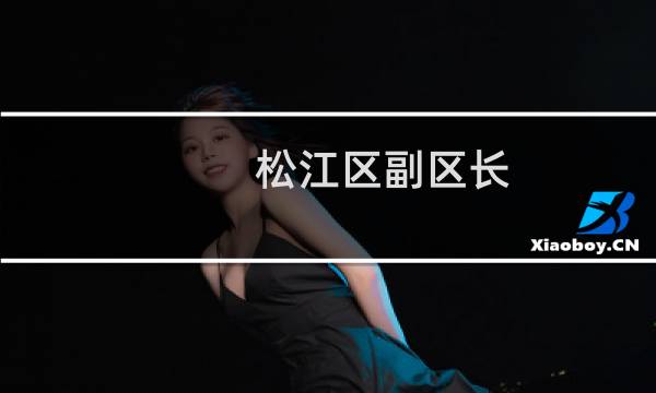 松江区副区长