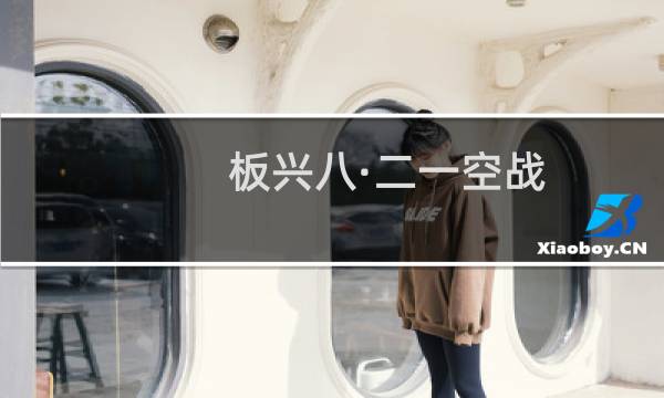 板兴八·二一空战(关于板兴八·二一空战的简介)