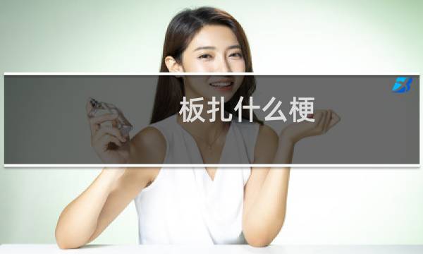 板扎什么梗
