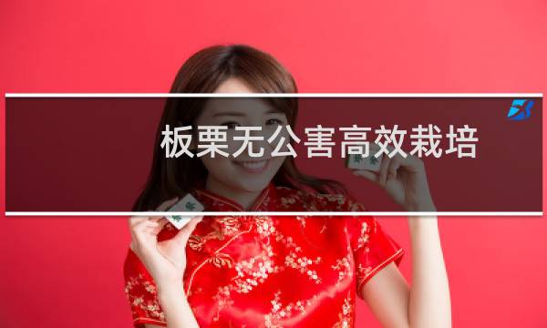 板栗无公害高效栽培(关于板栗无公害高效栽培的简介)图片