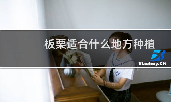 板栗适合什么地方种植