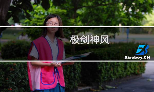 极剑神风(关于极剑神风的简介)