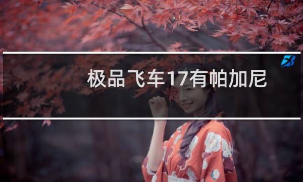 极品飞车17有帕加尼吗（极品飞车17有哪些车）