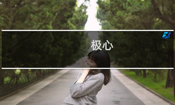 极心(关于极心的简介)图片