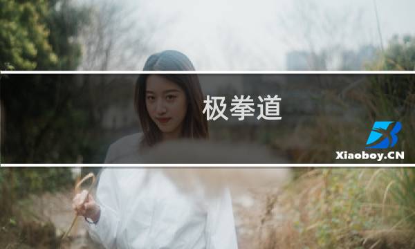 极拳道(关于极拳道的简介)