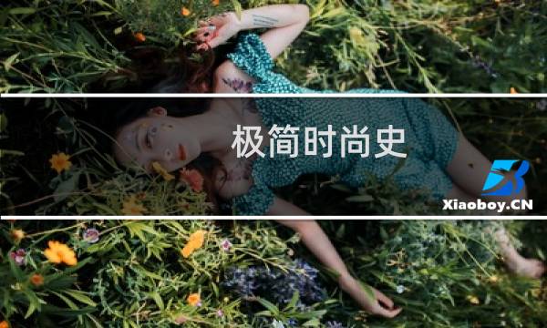 极简时尚史(关于极简时尚史的简介)图片