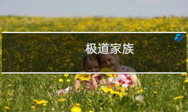极道家族(关于极道家族的简介)图片