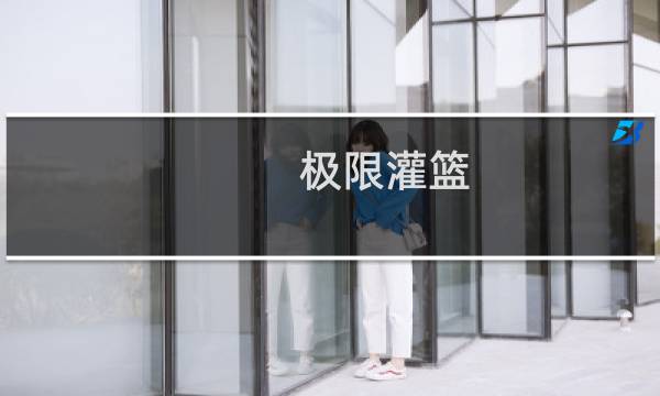 极限灌篮(关于极限灌篮的简介)