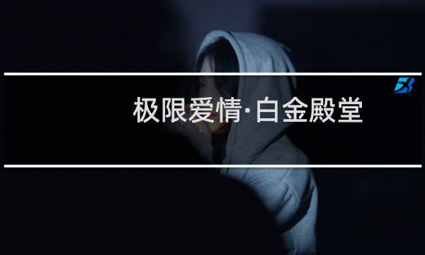 极限爱情·白金殿堂(关于极限爱情·白金殿堂的简介)