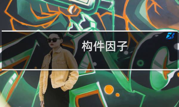 构件因子(关于构件因子的简介)