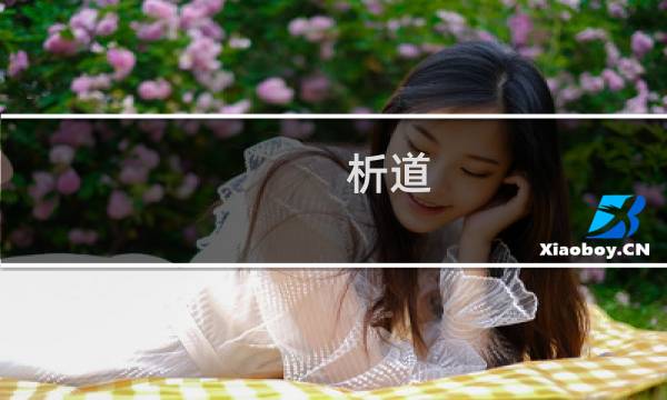 析道 上海管理咨询有限公司(关于析道 上海管理咨询有限公司的简介)