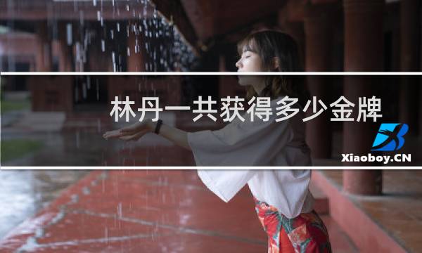 林丹一共获得多少金牌