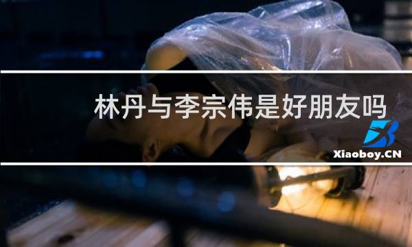 林丹与李宗伟是好朋友吗