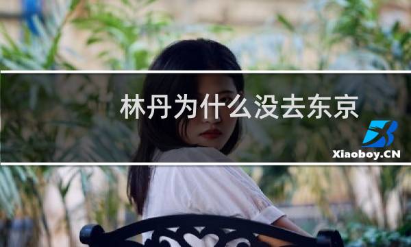 林丹为什么没去东京