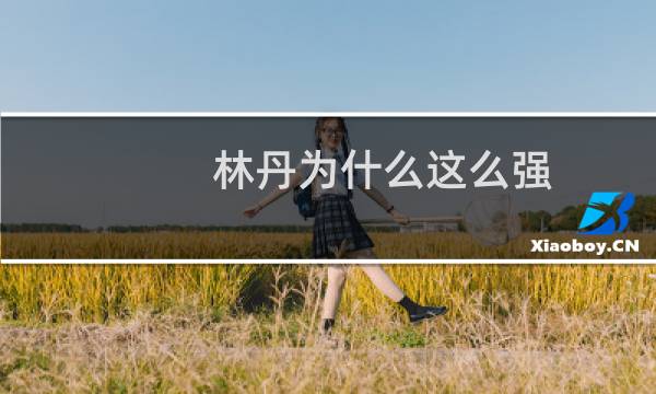 林丹为什么这么强