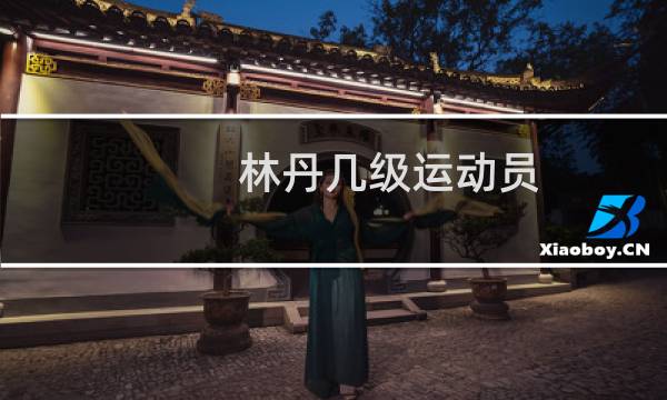 林丹几级运动员