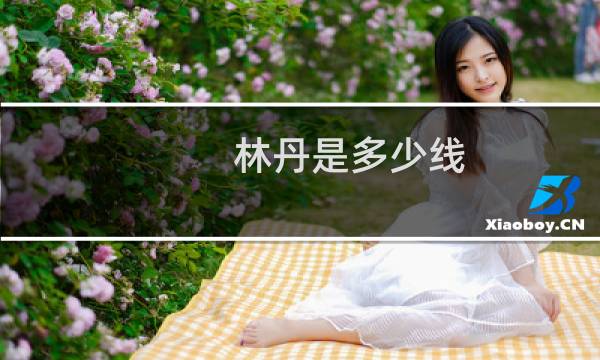 林丹是多少线