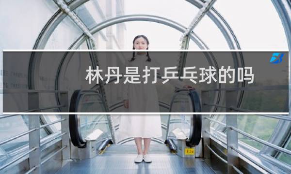 林丹是打乒乓球的吗