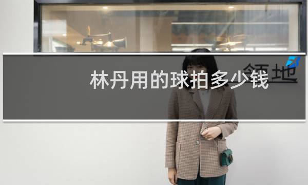 林丹用的球拍多少钱