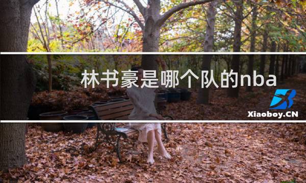林书豪是哪个队的nba