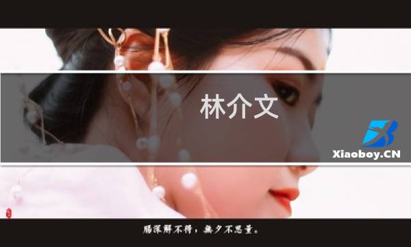 林介文(关于林介文的简介)