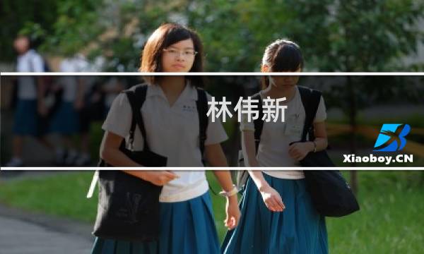 林伟新(关于林伟新的简介)图片