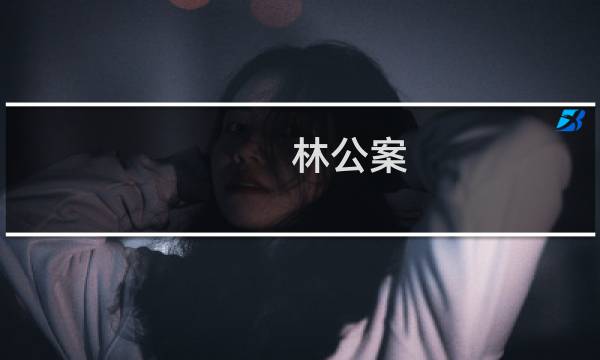 林公案(关于林公案的简介)