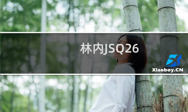 林内JSQ26-D06(关于林内JSQ26-D06的简介)