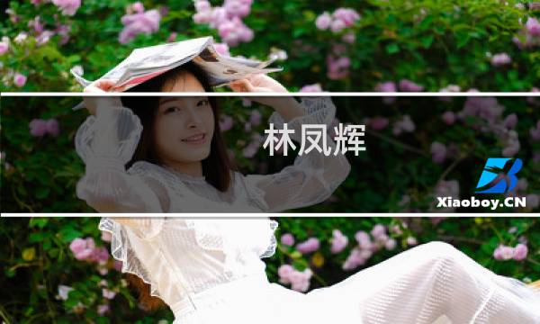 林凤辉(乐有家老板叫什么?)