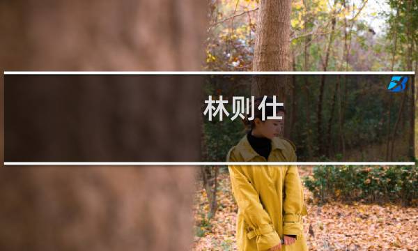 林则仕(关于林则仕的简介)图片