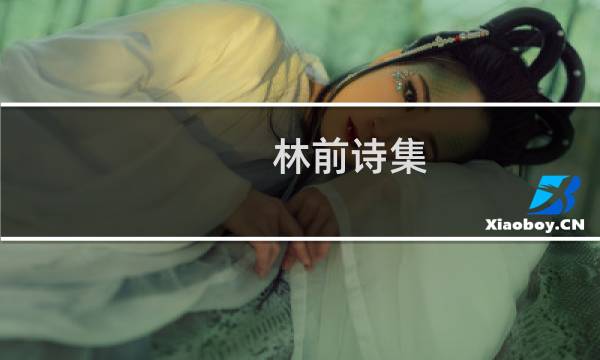林前诗集(关于林前诗集的简介)