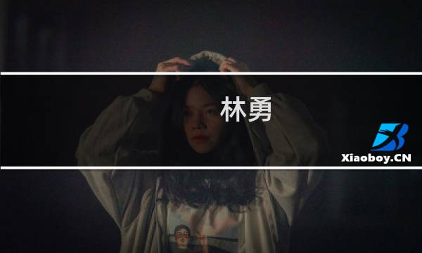 林勇(关于林勇的简介)