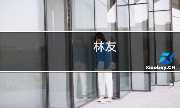 林友(关于林友的简介)图片
