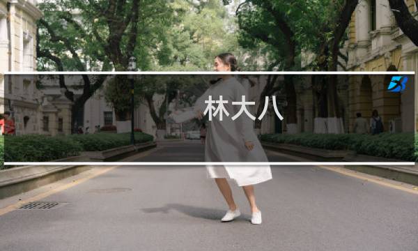 林大八(关于林大八的简介)图片