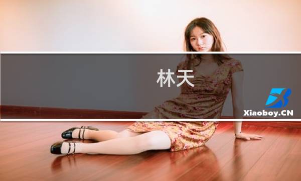 林天(关于林天的简介)图片