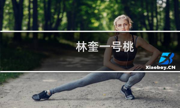 林奎一号桃(关于林奎一号桃的简介)图片