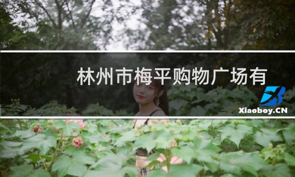 林州市梅平购物广场有限公司(关于林州市梅平购物广场有限公司的简介)