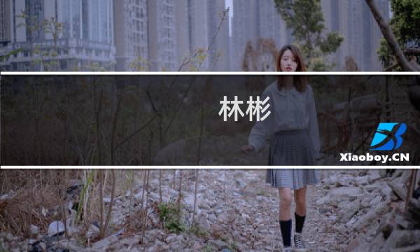 林彬(关于林彬的简介)图片