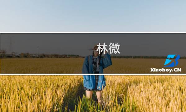 林微(关于林微的简介)图片