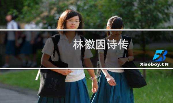 林徽因诗传：你是人间四月天(关于林徽因诗传：你是人间四月天的简介)图片