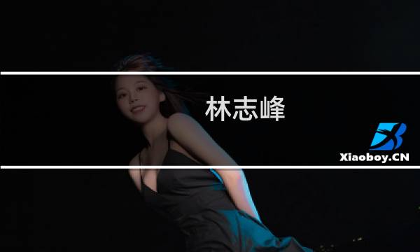 林志峰(关于林志峰的简介)图片