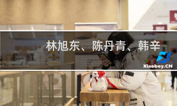 林旭东、陈丹青、韩辛：四十年的故事(关于林旭东、陈丹青、韩辛：四十年的故事的简介)