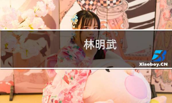 林明武(关于林明武的简介)