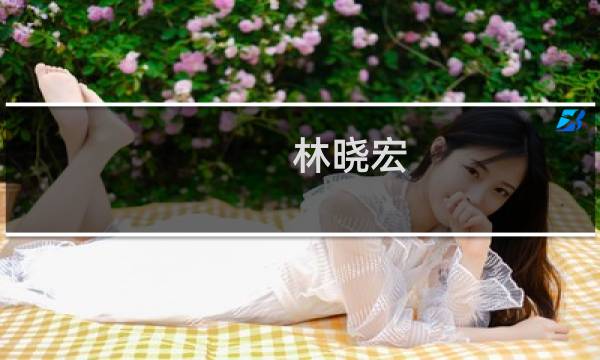 林晓宏(关于林晓宏的简介)