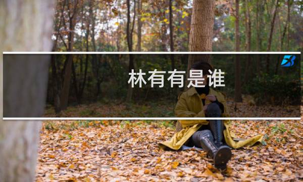林有有是谁