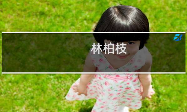 林柏枝(关于林柏枝的简介)图片