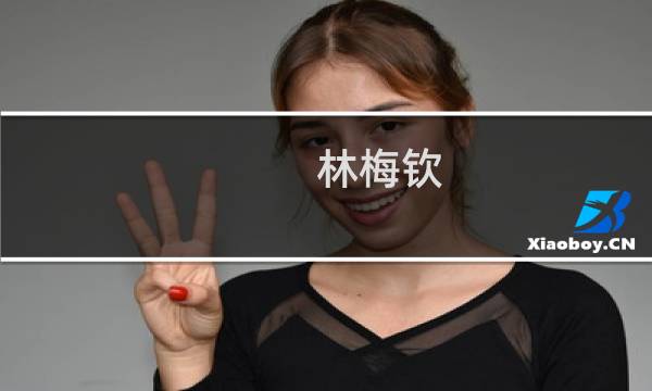 林梅钦(关于林梅钦的简介)
