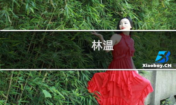 林温(关于林温的简介)