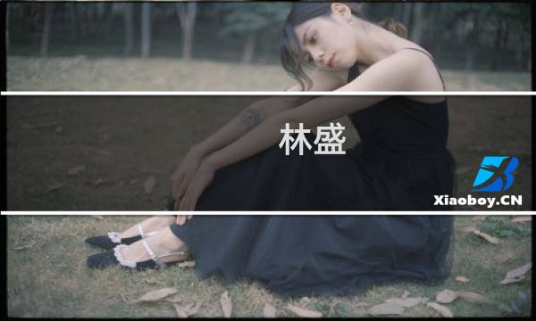 林盛(关于林盛的简介)图片