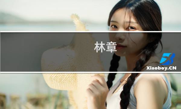 林章(关于林章的简介)